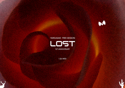 LOST201101.gif